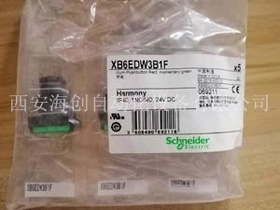 XB6EDW3B1F 带灯按钮