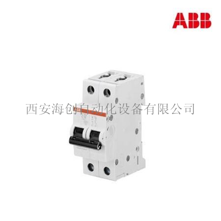 ABB断路器S202-C6斜.jpg